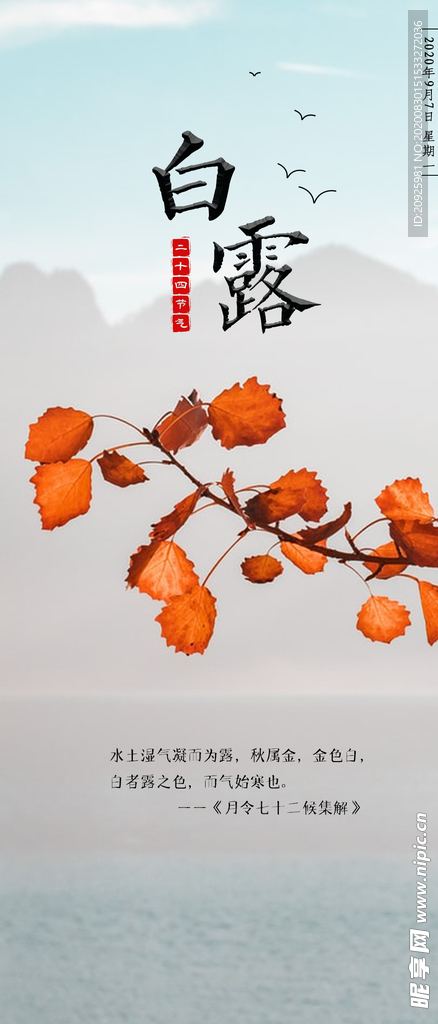白露