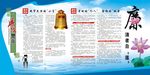 廉政警示宣传栏