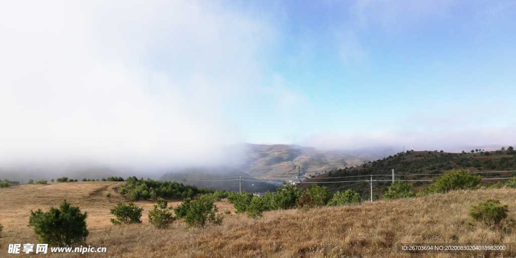 云雾大山松树风景