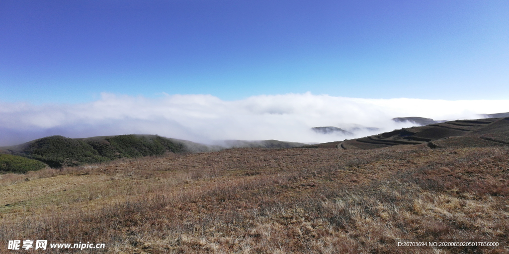 云雾大山风景