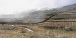 田野风景