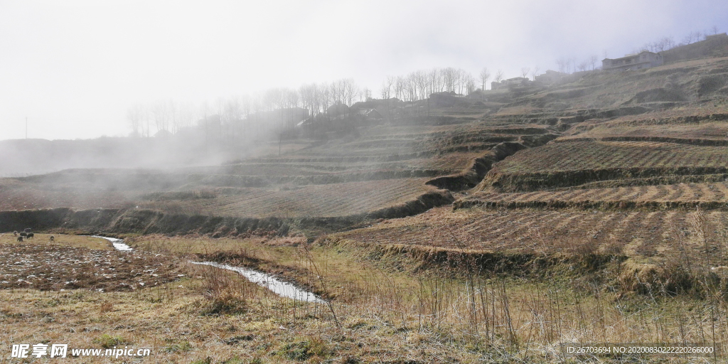 田野风景