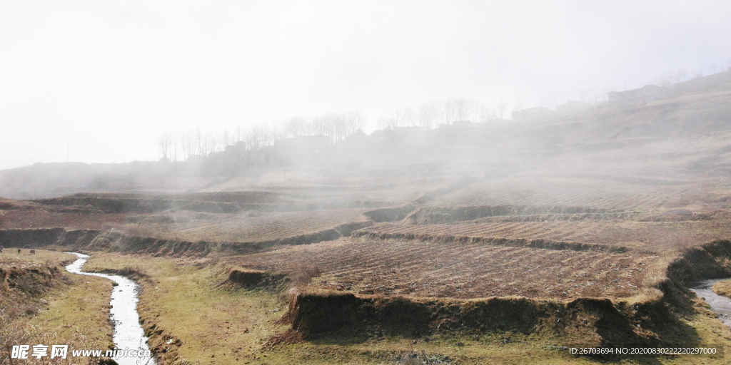 大雾笼罩田园风景