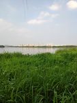 蠡湖风景