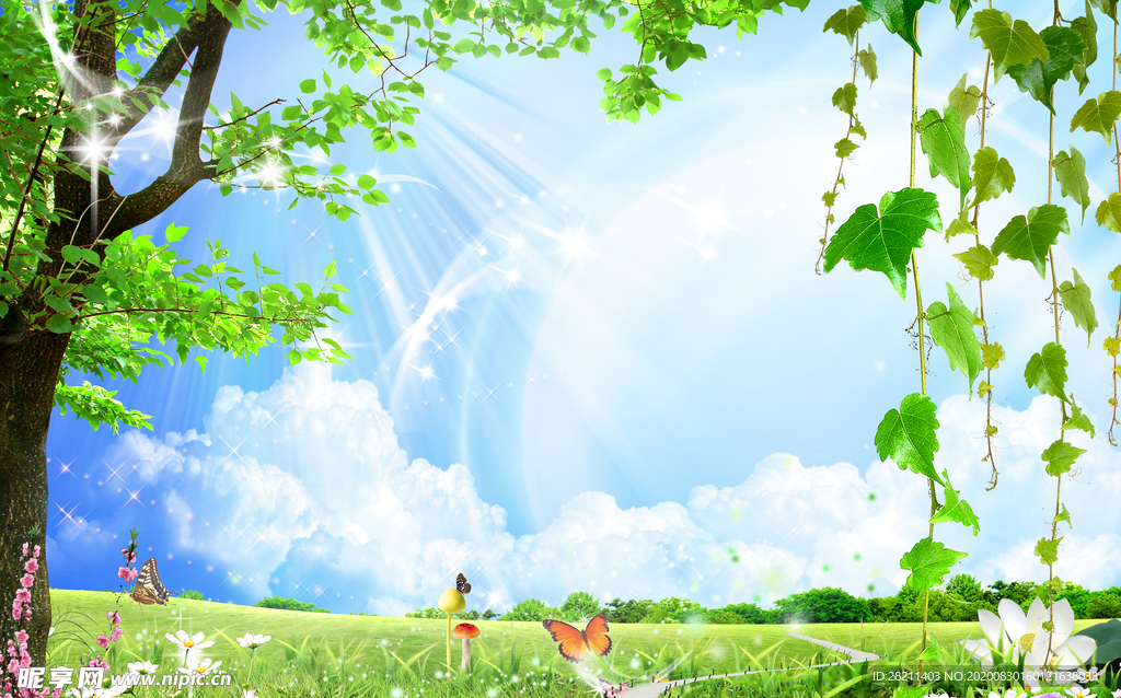 阳光明媚草原大树彩色蘑菇天空