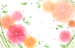 牡丹花装饰换小清晰