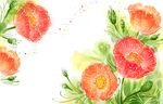 手绘彩绘牡丹花装饰画