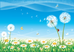蒲公英七星瓢虫小雏菊