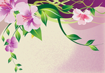 牵牛花壁纸背景墙壁画墙纸