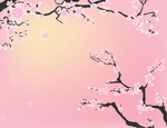 梅花粉色梅花包装盒礼品袋