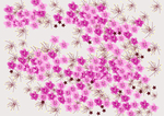 梅花雪花壁纸壁布壁画墙纸背景墙