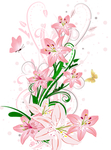 牵牛花百合花水仙花