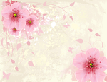 牡丹花梅花背景墙壁纸礼品袋印花