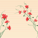 条纹牡丹花