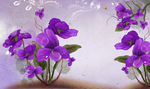兰花风信子花紫色花朵