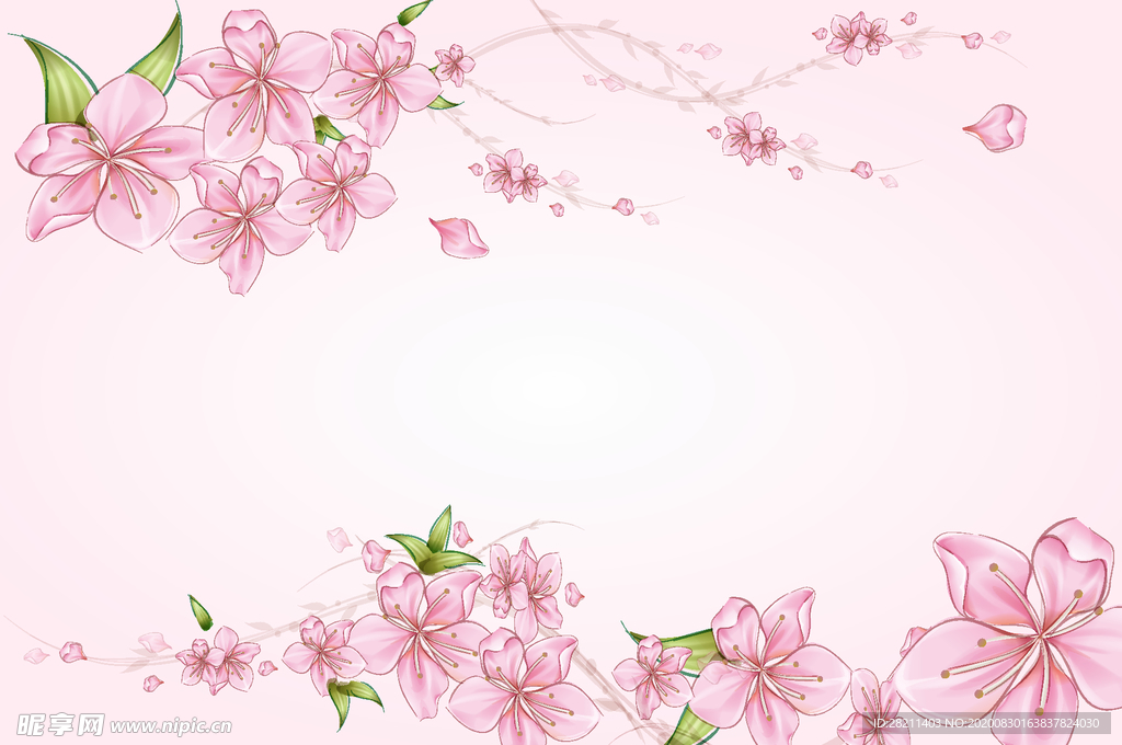 梅花海棠花粉色花朵