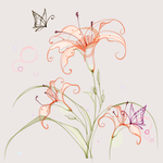 百合花纹理清晰