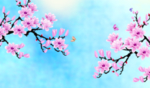 粉红色梅花