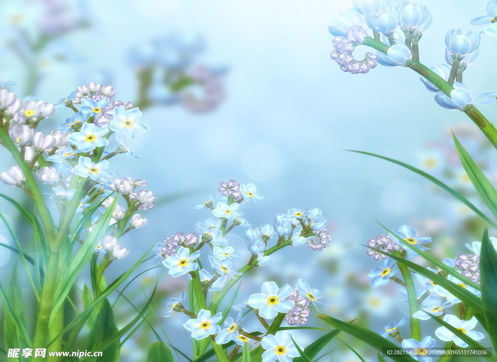 手绘油画野草野花小花