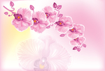 梅花桃花