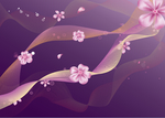 紫色梅花