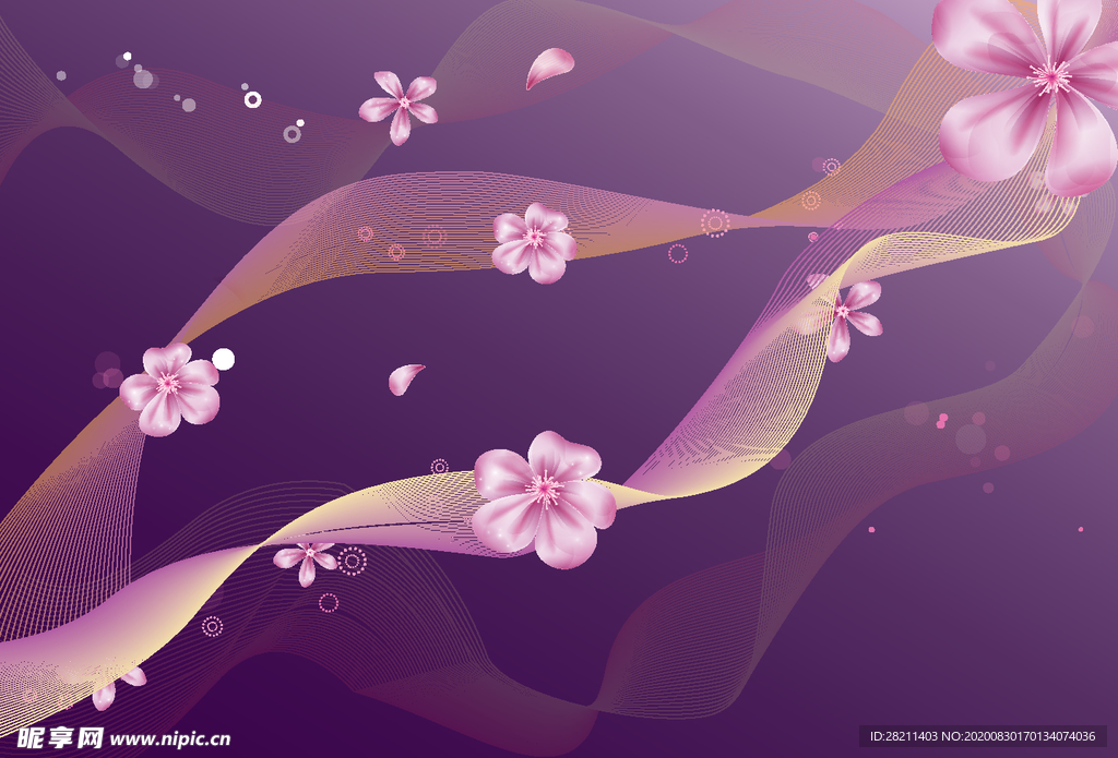 紫色梅花