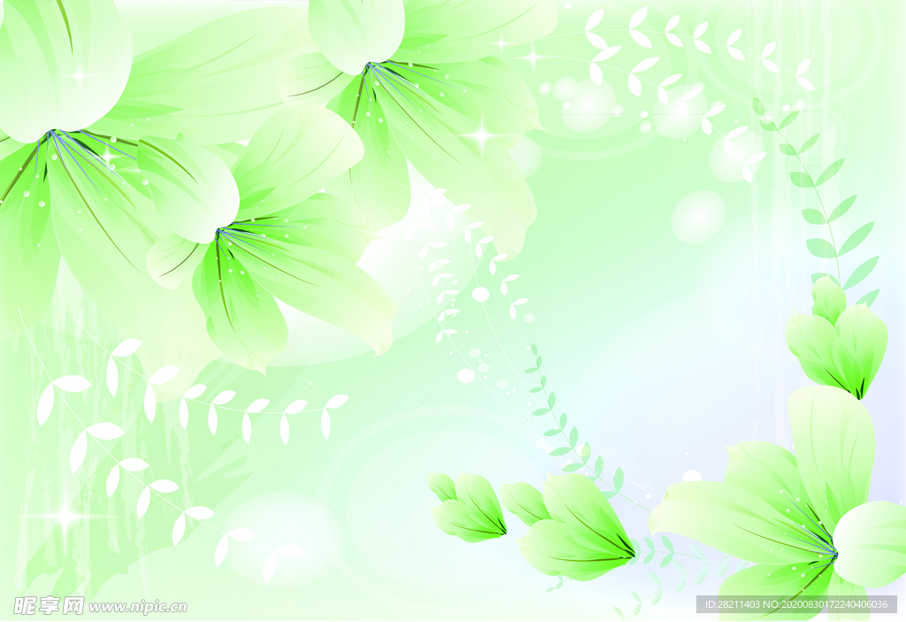 浪漫绿色浅绿色玫瑰花