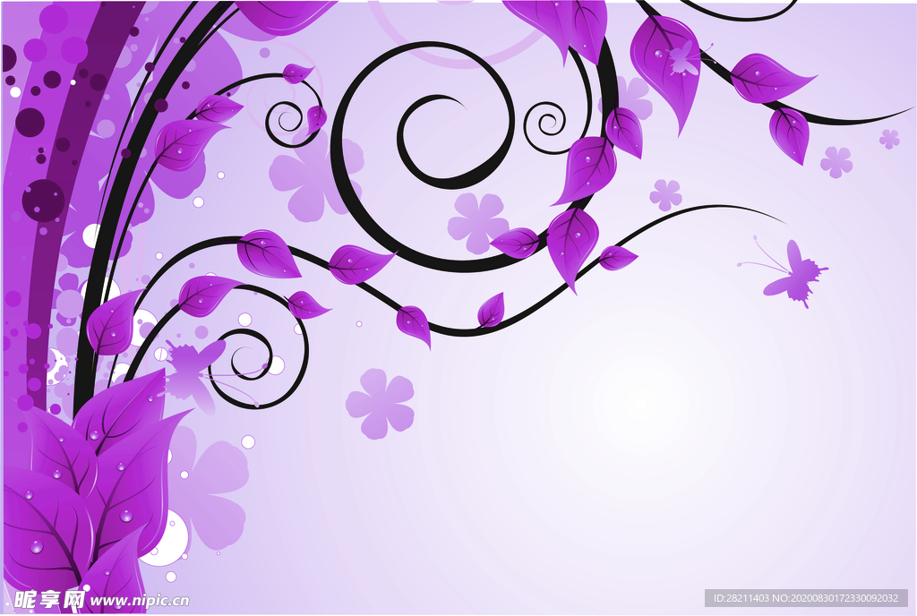 紫罗兰紫色树叶
