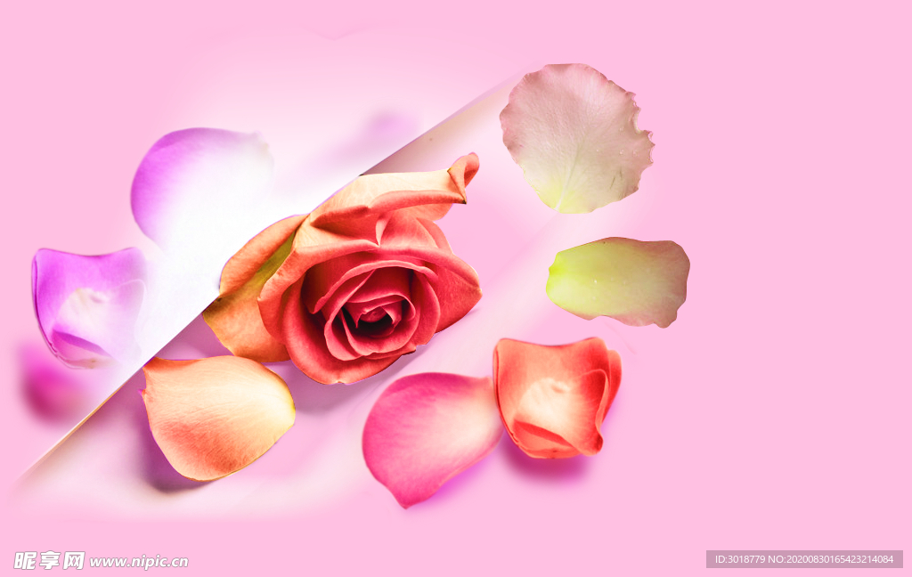 花瓣