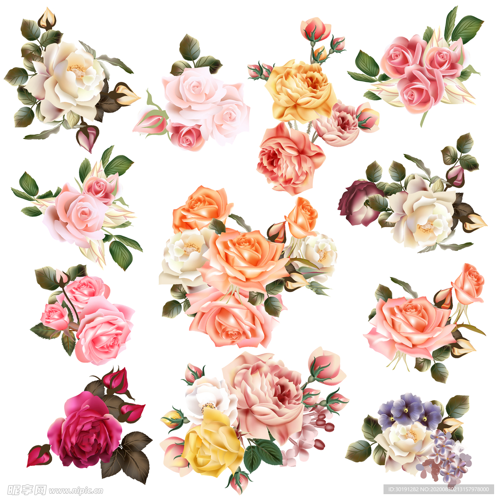 玫瑰花