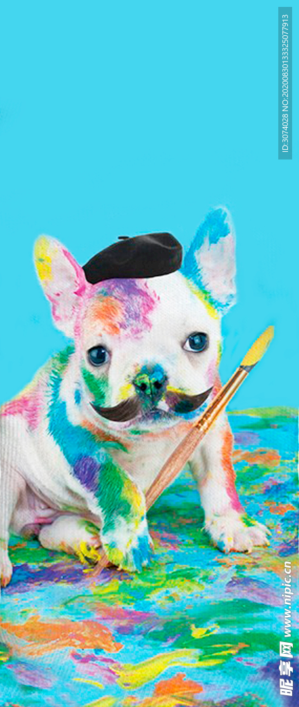 彩绘狗狗PUG