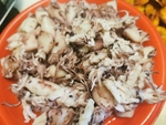 鱿鱼