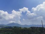 乡村