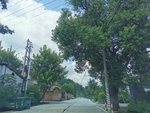 乡村