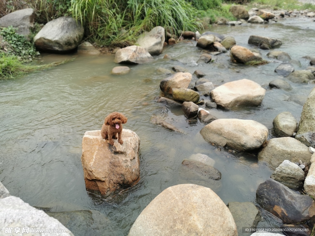 石头与溪流