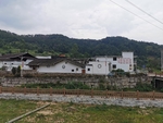 新农村