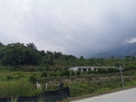 美丽乡村
