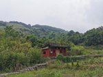 美丽乡村
