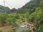 乡村风光