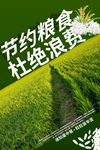 珍惜粮食