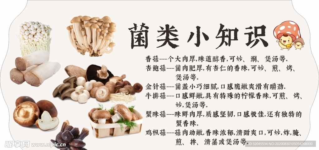菌类立牌