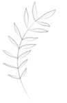 手绘植物花卉