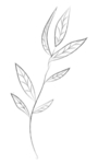 手绘植物花卉
