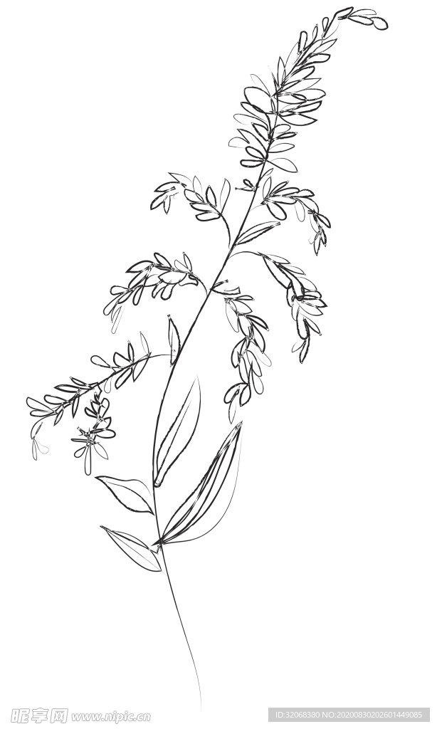 手绘植物花卉