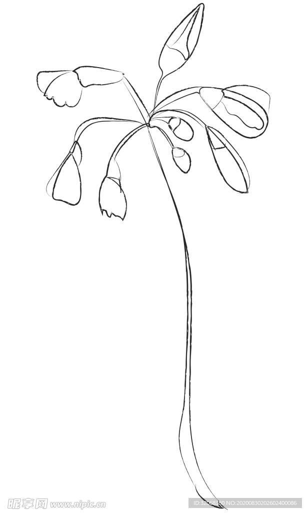 手绘植物花卉