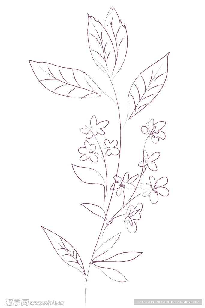 植物手绘水彩