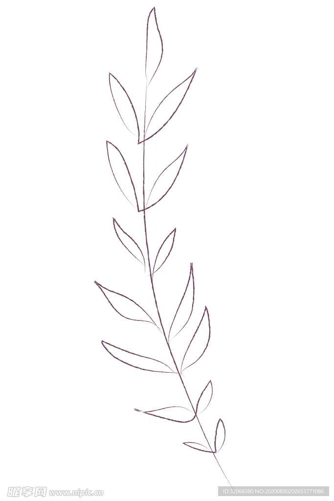 植物手绘水彩
