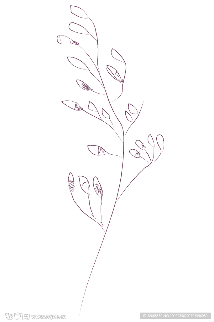 植物手绘水彩