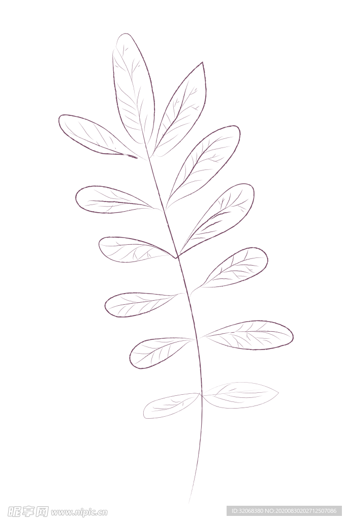 植物手绘水彩