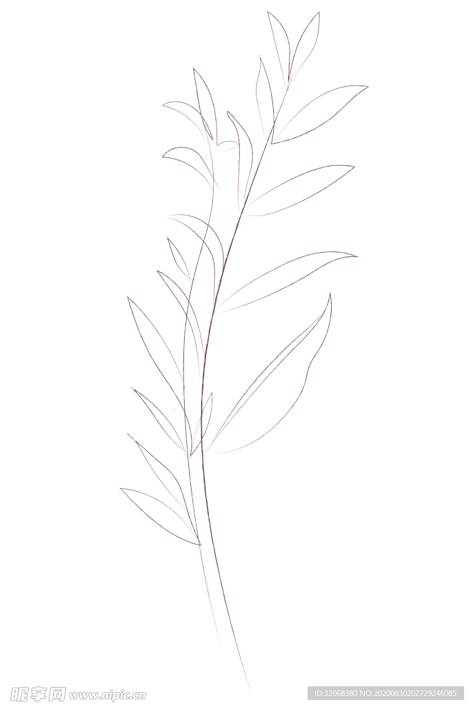 植物手绘水彩